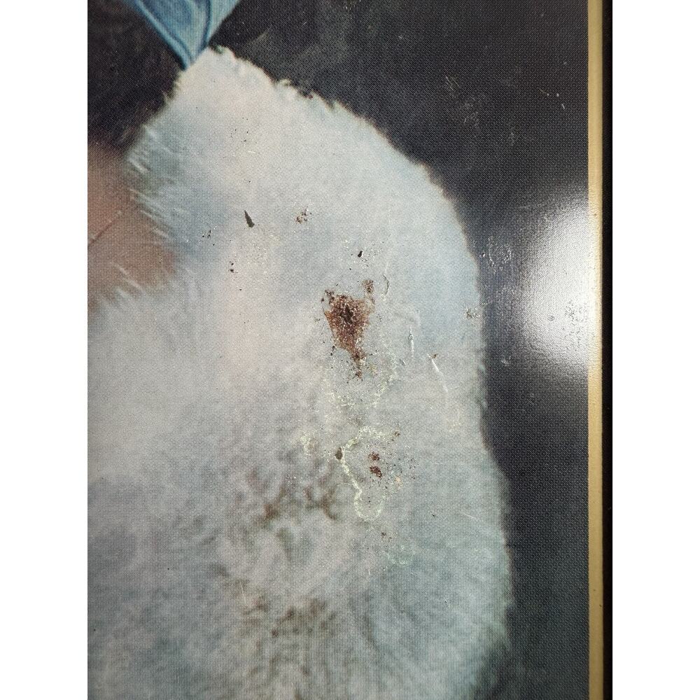 VTG 1973‎ version of 1925 Coca-Cola Serving Tray Metal Advertising - Picture 6 of 7